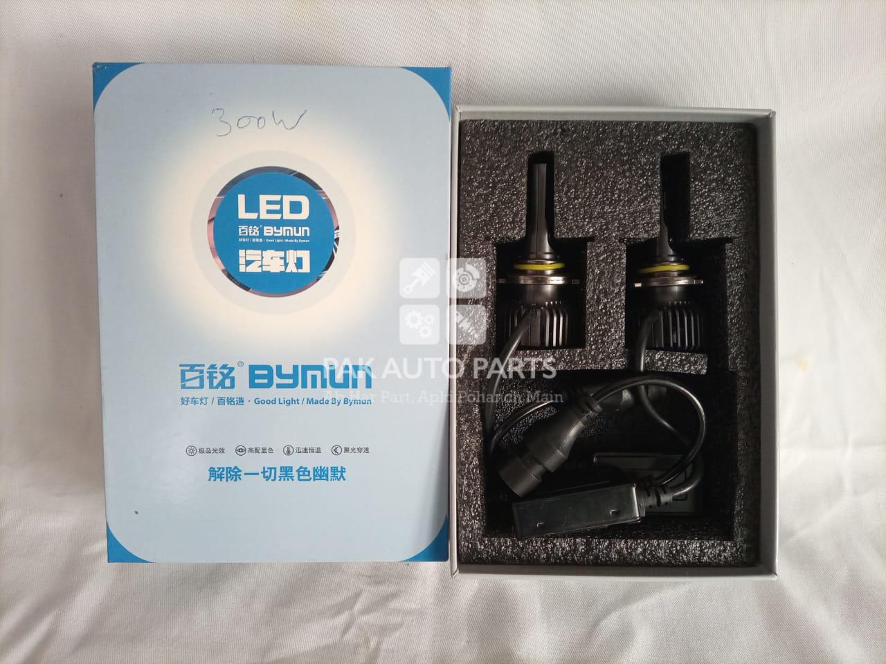 Bynum Led Light (300w)